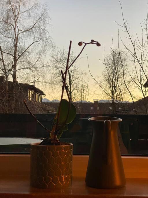 Gruenes Stueble Allgaeuer Alpen 松托芬 外观 照片